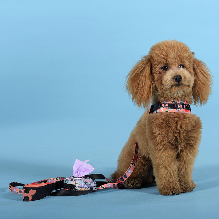 Шлейка United Pets для собак Complete me Forever 3,5 x 48-64 см, оранжевая с рисунком СКИДКА 30%
