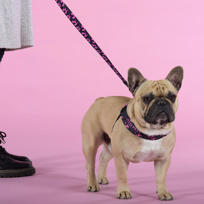 Шлейка United Pets для собак Complete me Identity 2,5 x 40-54 см, черная с розовым СКИДКА 30%