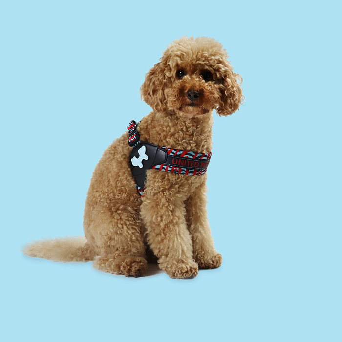 Шлейка United Pets для собак Complete me S 42 x 44-58 см, красная зебра СКИДКА 30%