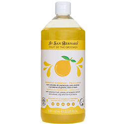 ISB Fruit of the Groomer Maracuja шампунь для длинной шерсти с протеинами 1000 мл
