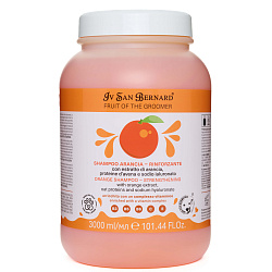 ISB Fruit of the Groomer Orange шампунь для слабой выпадающей шерсти с протеинами овса 3000 мл