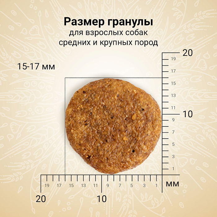 Сухой корм CRAFTIA NATURA для взрослых собак средних и крупных пород из лосося и сельди 10 кг
