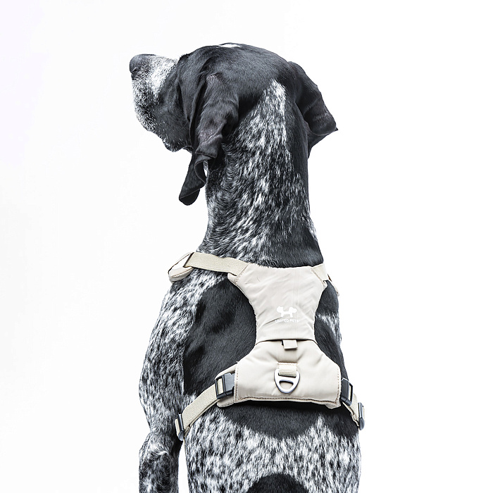 Шлейка United Pets для собак Citylife Y-образная S 15 x 45-60, бежевый