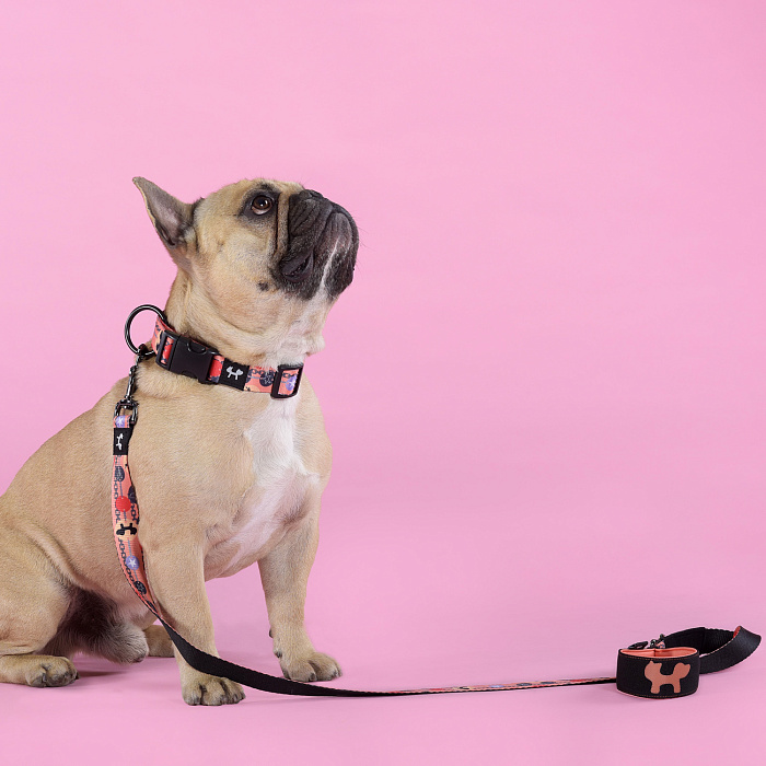 Поводок United Pets для собак Complete me Forever 140 см, 20 мм, оранжевый с рисунком СКИДКА 40%
