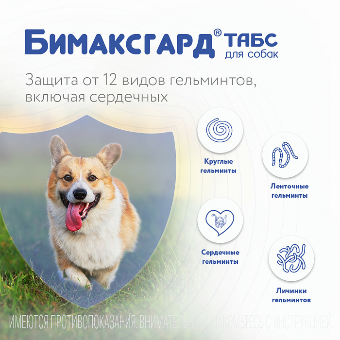 Бимаксгард® ТАБС антигельминтный препарат для щенков и маленьких собак, 2 таб.