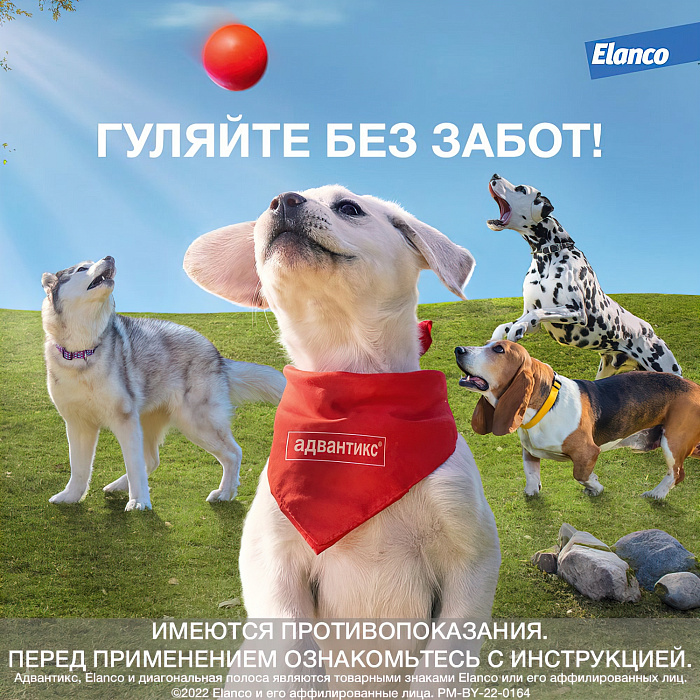 Bayer Адвантикс 250 С для собак 10-25 кг от блох, клещей и комаров (4 пипетки х 2,5 мл)