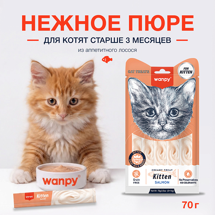 Wanpy Cat Лакомство для котят «нежное пюре» из лосося 70 г