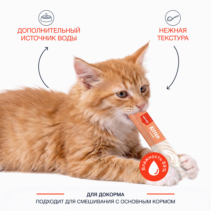 Wanpy Cat Лакомство для котят «нежное пюре» из лосося 70 г