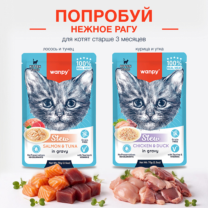 Wanpy Cat Лакомство для котят «нежное пюре» из лосося 70 г