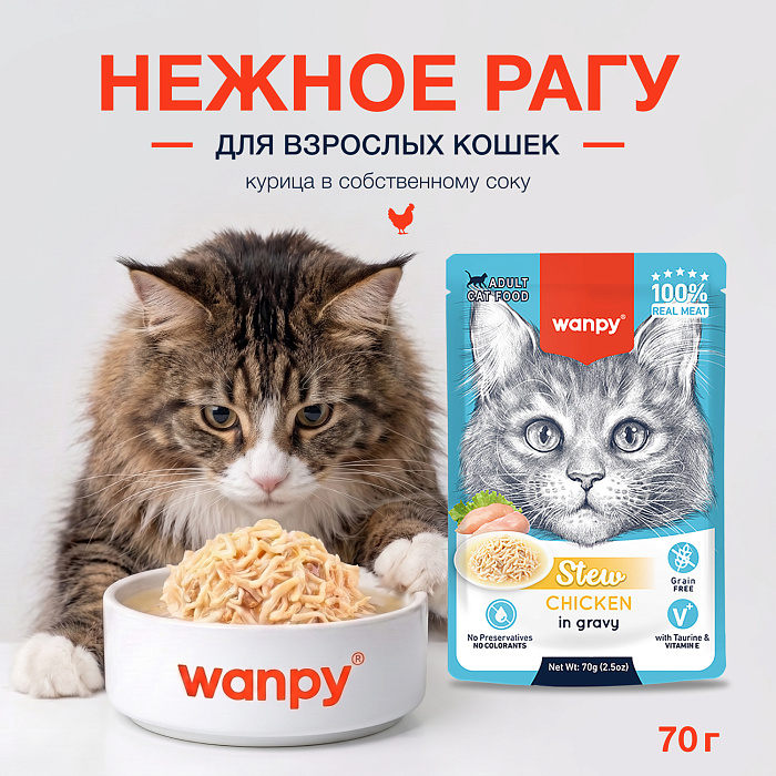 Wanpy Cat Дополнительный консервированный корм пауч для кошек курица в собственному соку 70 г