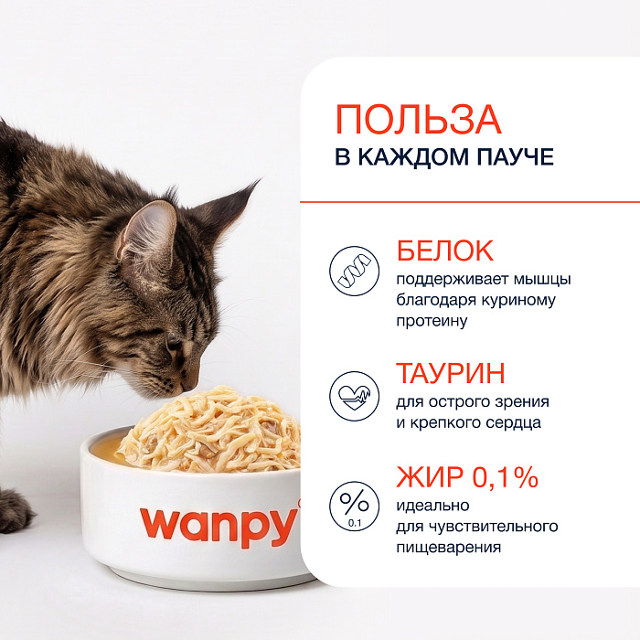 Wanpy Cat Дополнительный консервированный корм пауч для кошек курица в собственному соку 70 г