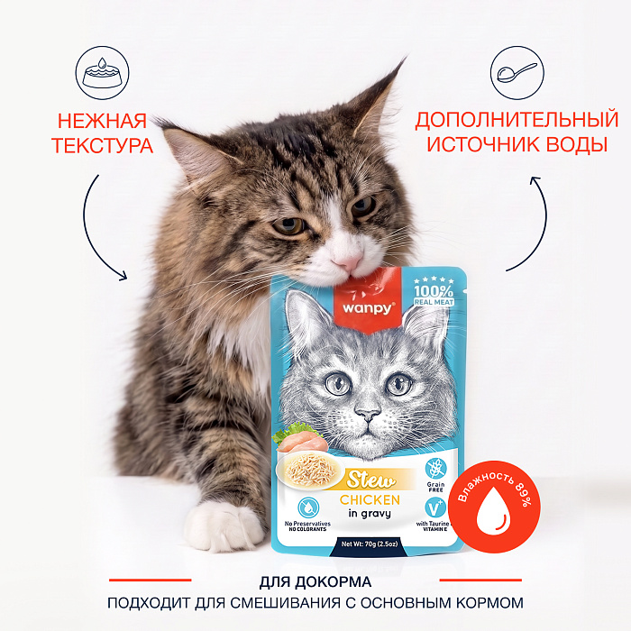 Wanpy Cat Дополнительный консервированный корм пауч для кошек курица в собственному соку 70 г