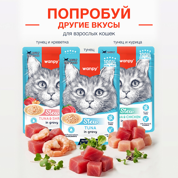 Wanpy Cat Дополнительный консервированный корм пауч для кошек курица в собственному соку 70 г