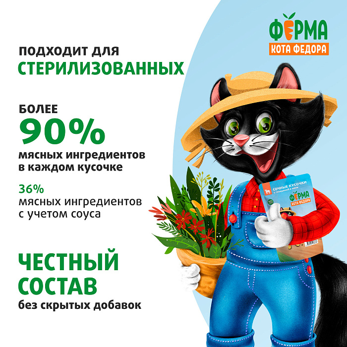 Влажный корм Ферма кота Фёдора сочные кусочки в желе для кошек с говядиной 85г