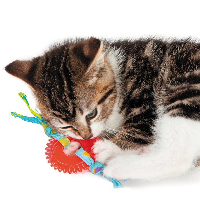 Petstages игрушка для кошек Dental "ОРКА колесико"