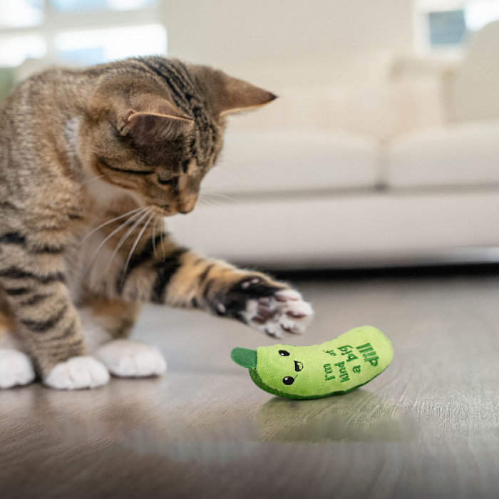 Игрушка Catstages Dental для кошек "Огурец Крутыш" c кошачьей мятой 15 см
