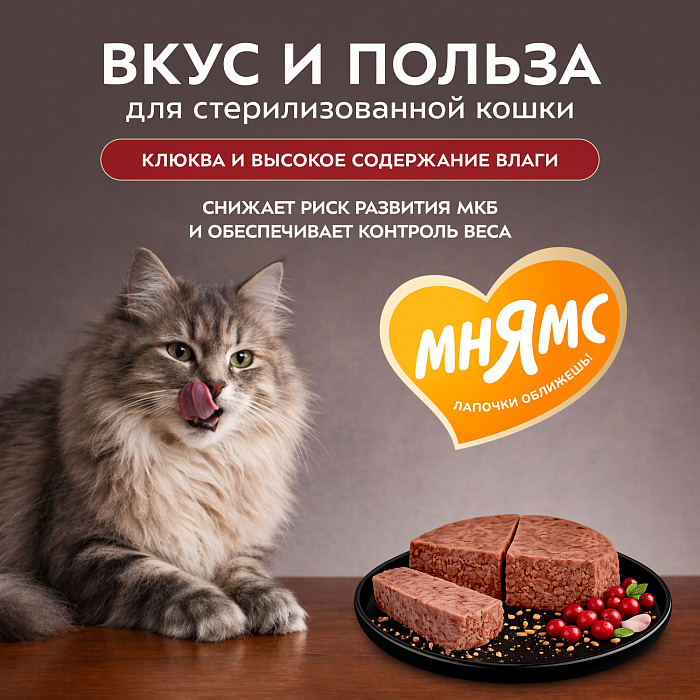 Влажный корм Мнямс Деликатес Говядина с клюквой для стерилизованных кошек "Паштет по-шведски" 100 г