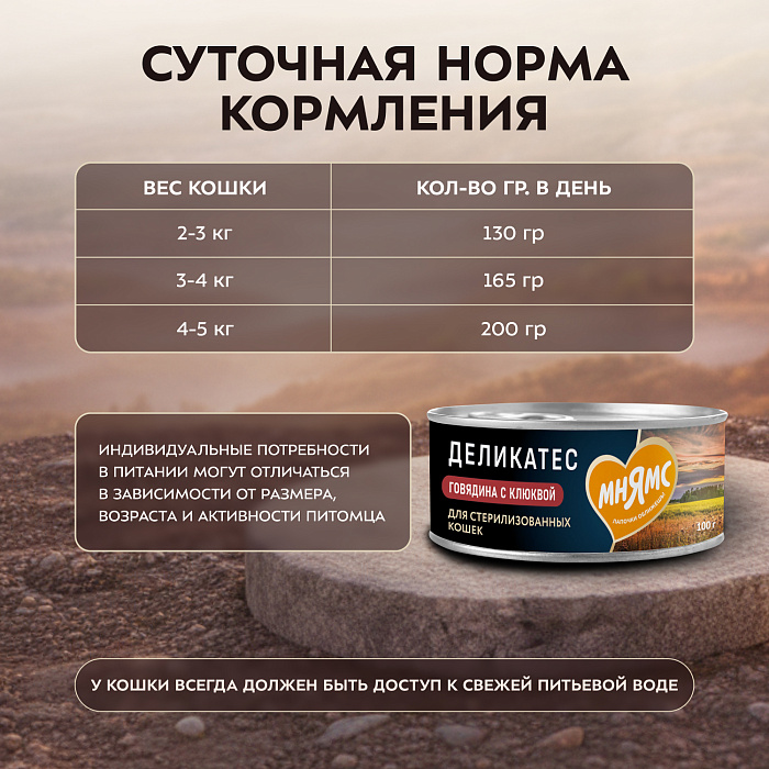 Влажный корм Мнямс Деликатес Говядина с клюквой для стерилизованных кошек "Паштет по-шведски" 100 г