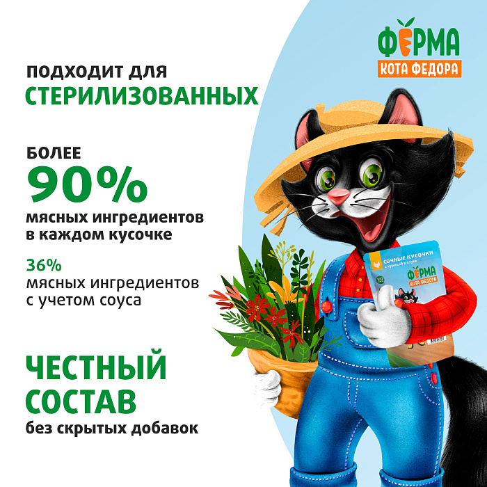 Влажный корм Ферма кота Фёдора сочные кусочки для кошек с курицей 85г