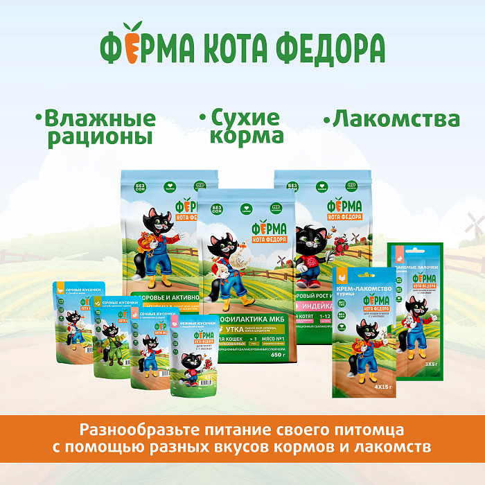 Влажный корм Ферма кота Фёдора сочные кусочки для кошек с курицей 85г