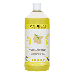 ISB Fruit of the Groomer Ginger&Elderbery шампунь с противовоспалительным эффектом 1000 мл