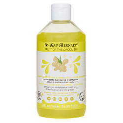 ISB Fruit of the Groomer Ginger&Elderbery шампунь с противовоспалительным эффектом 500 мл
