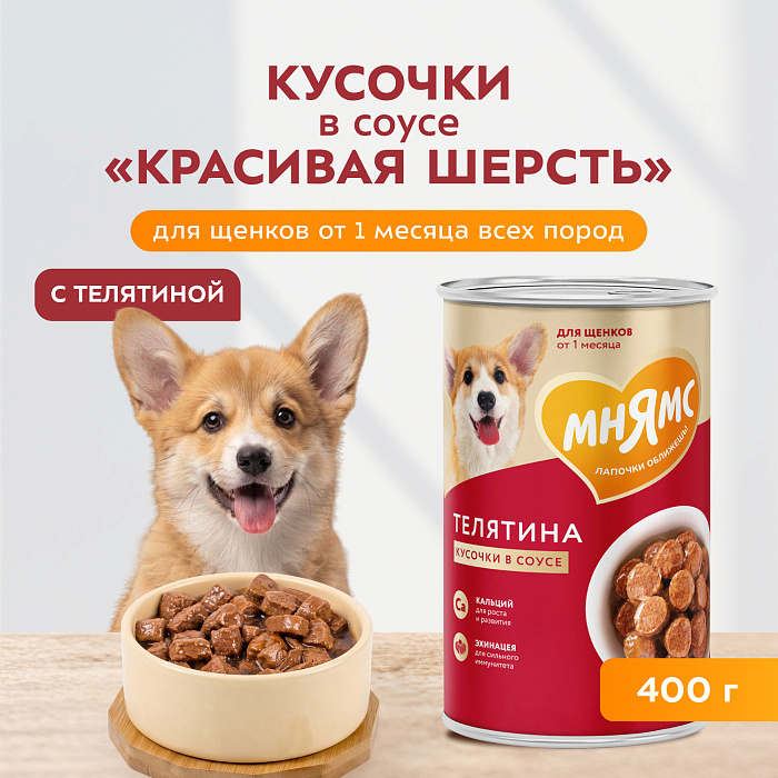 Влажный корм Мнямс На каждый день Кусочки в соусе с телятиной для щенков всех пород «ПРАВИЛЬНОЕ РАЗВИТИЕ», 400 г