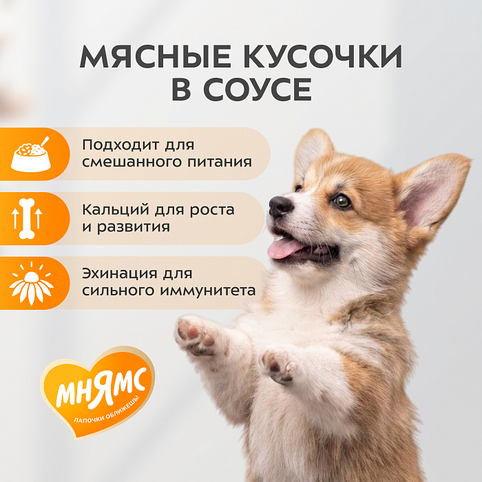 Влажный корм Мнямс На каждый день Кусочки в соусе с телятиной для щенков всех пород «ПРАВИЛЬНОЕ РАЗВИТИЕ», 400 г
