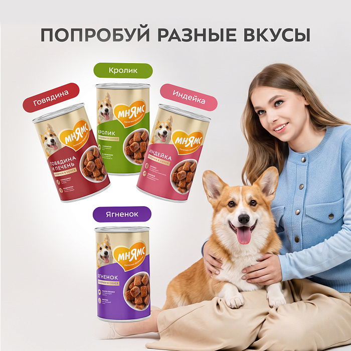 Влажный корм Мнямс На каждый день Кусочки в соусе с телятиной для щенков всех пород «ПРАВИЛЬНОЕ РАЗВИТИЕ», 400 г