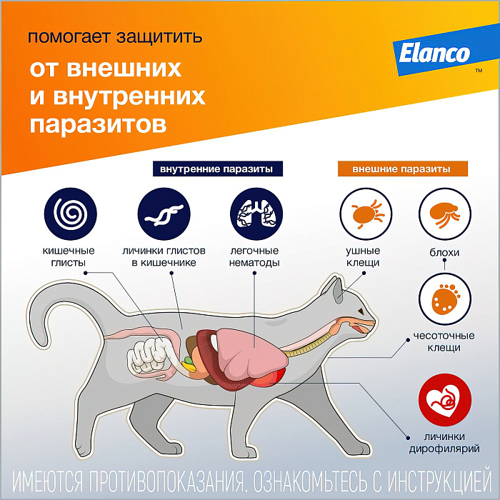 Bayer Адвокат 40 капли для кошек до 4 кг от чесоточных клещей, блох и гельминтов (1 пипетка х 0,4 мл)