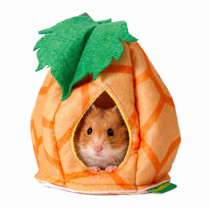 Домик из фетра Bambini Pets "Тыковка" для грызунов и хорьков 18*18*15 см