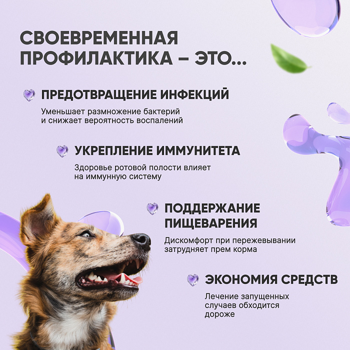 V.A.D.C. (ВИ.ЭЙ.ДИ.ЭС.) «Укрепление пародонта» зубная паста с ароматом говядины для собак и кошек, 50 мл