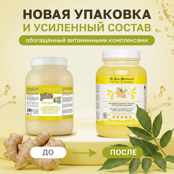 ISB Fruit of the Groomer Ginger&Elderbery шампунь с противовоспалительным эффектом 3000 мл
