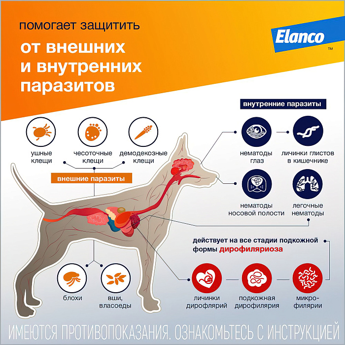 Bayer Адвокат 250 капли для собак 10-25 кг от чесоточных клещей, блох и гельминтов (3 пипетки х 2,5 мл)