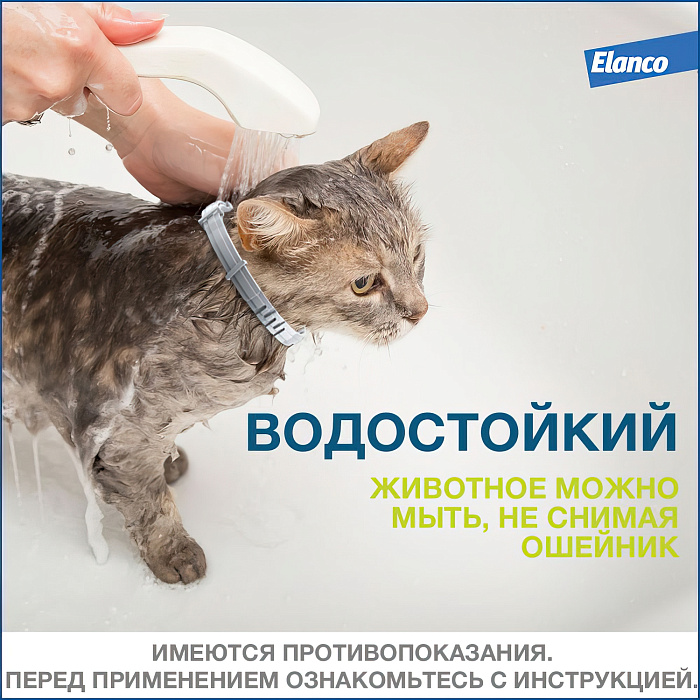 Bayer Форесто ошейник от клещей и блох для кошек 38 см