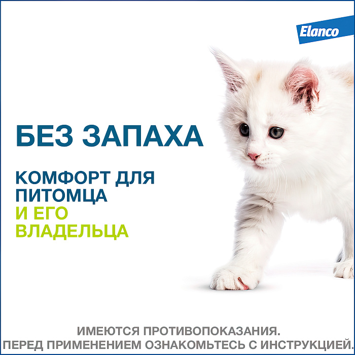 Bayer Форесто ошейник от клещей и блох для кошек 38 см