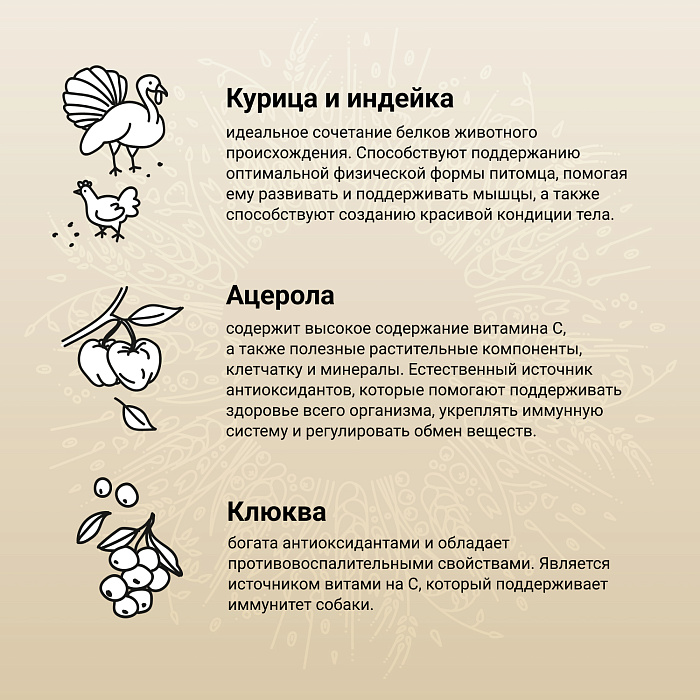 Сухой корм CRAFTIA NATURA для взрослых собак средних и крупных пород из курицы и индейки 10 кг