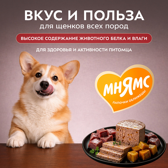 Влажный корм Мнямс Деликатес Паштет из телятины с тыквой для щенков всех пород "Асадо по-аргентински" 200 г