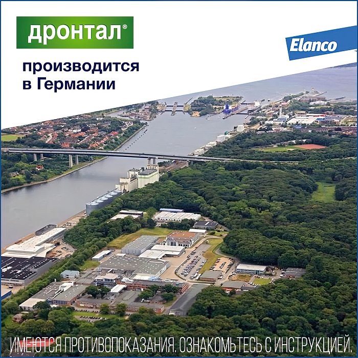 Bayer Дронтал таблетки от гельминтов для кошек 2 таб.