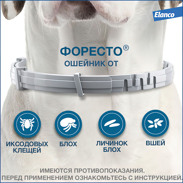 Bayer Форесто ошейник от клещей и блох для собак  менее 8 кг, 38 см