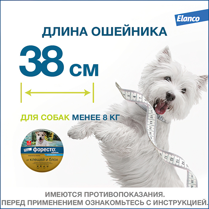 Bayer Форесто ошейник от клещей и блох для собак  менее 8 кг, 38 см