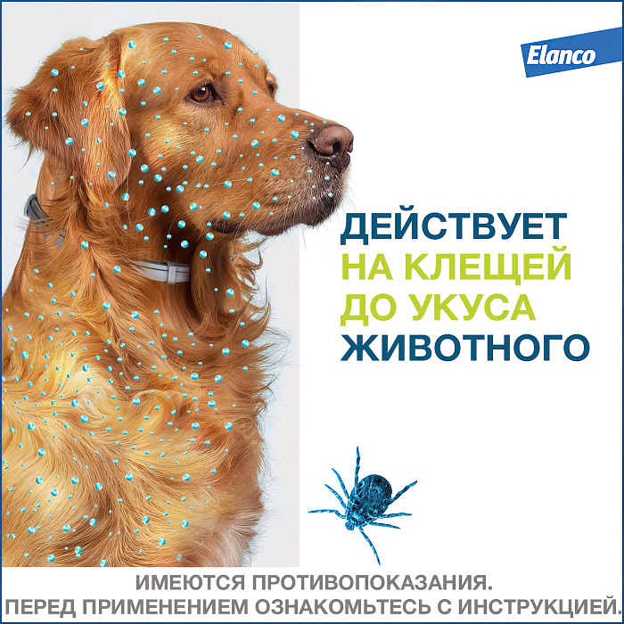 Bayer Форесто ошейник от клещей и блох для собак более 8 кг, 70 см