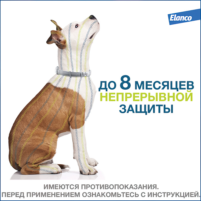 Bayer Форесто ошейник от клещей и блох для собак более 8 кг, 70 см
