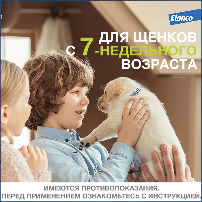 Bayer Форесто ошейник от клещей и блох для собак более 8 кг, 70 см