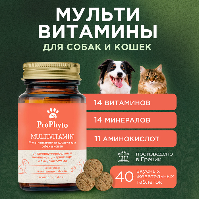 ProPhyto Мультивитамин, 40 таблеток