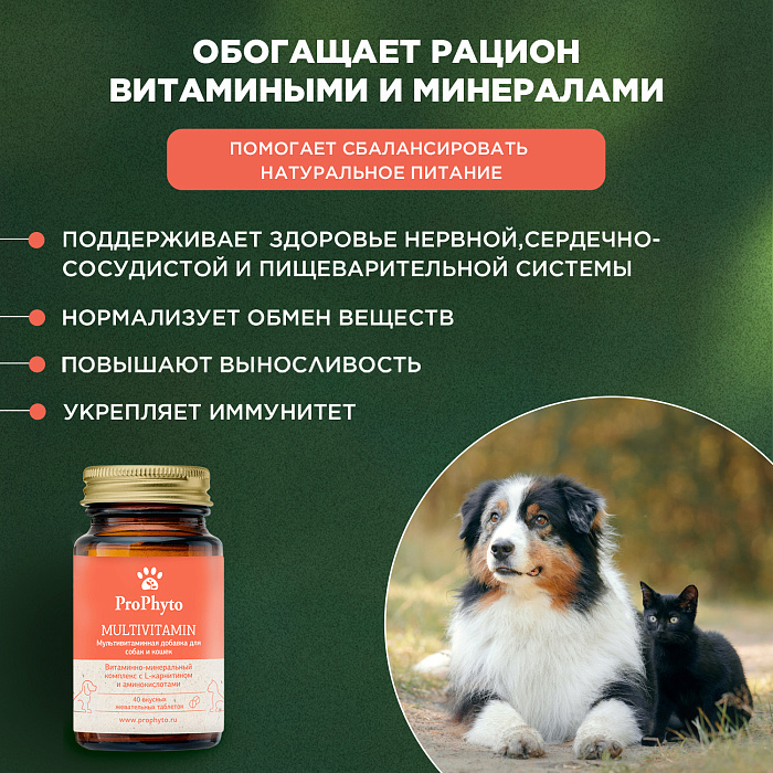 ProPhyto Мультивитамин, 40 таблеток