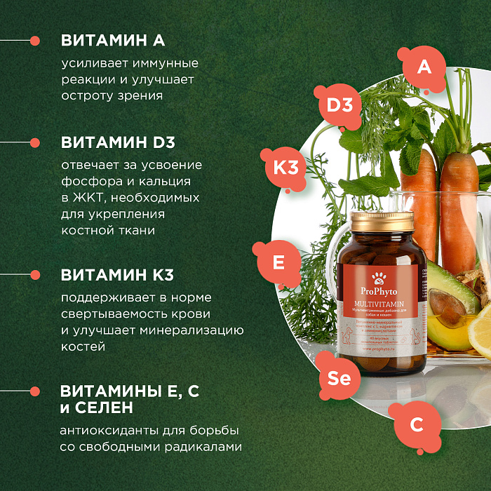ProPhyto Мультивитамин, 70 таблеток
