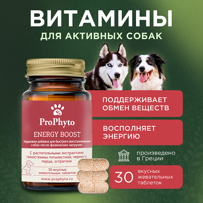 ProPhyto Энерджи Буст, 30 таблеток