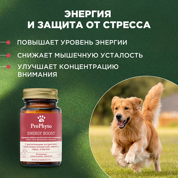 ProPhyto Энерджи Буст, 30 таблеток