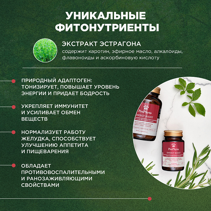 ProPhyto Энерджи Буст, 30 таблеток